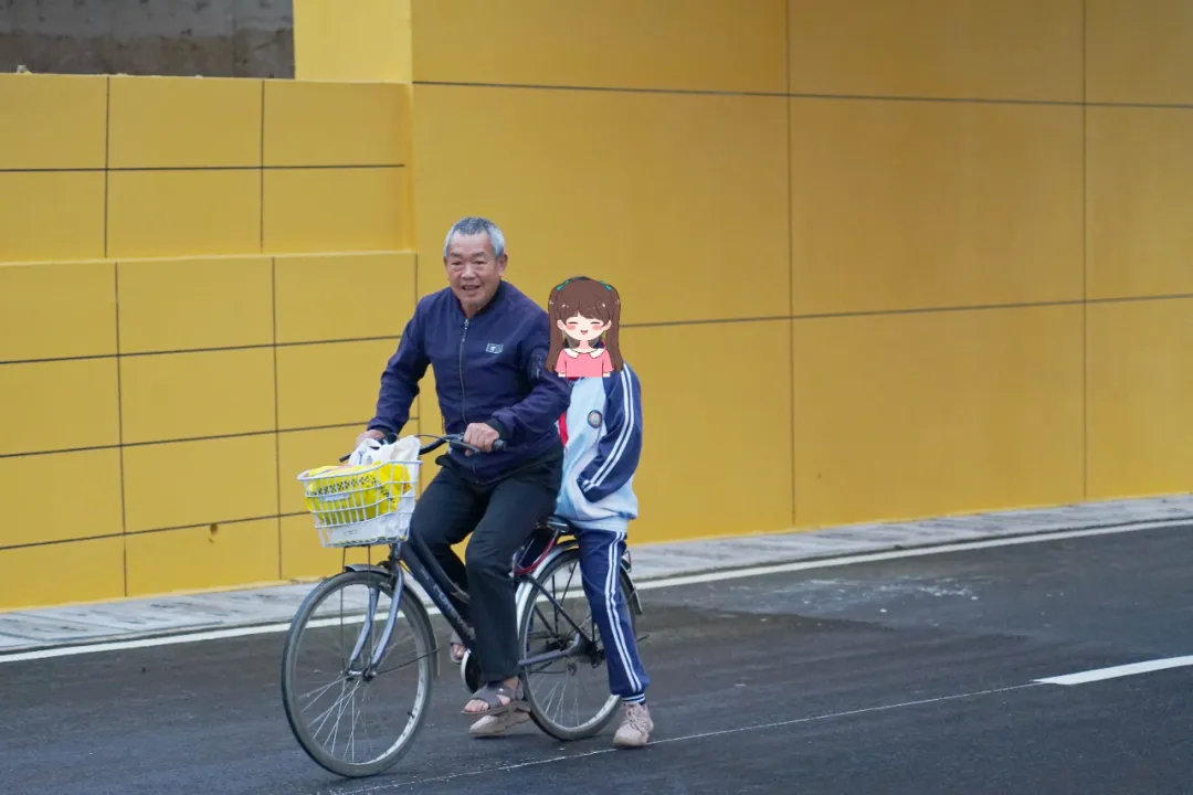 出行方便了！漢中興漢新區(qū)惠府路主車道通車！