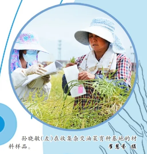 中國油菜的“漢中芯”！探尋背后硬核→