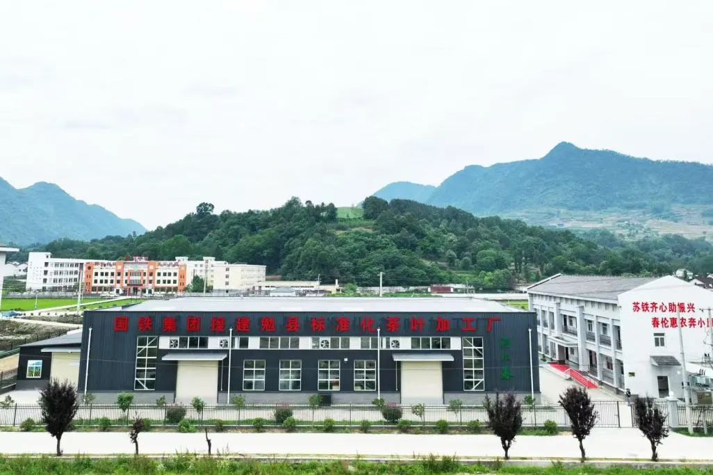訂單接到手軟！漢中茶界“黑馬”逆襲→