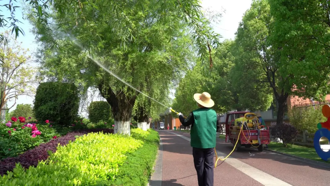 漢中毛?毛?毛?毛……明顯減輕！原因在這里→