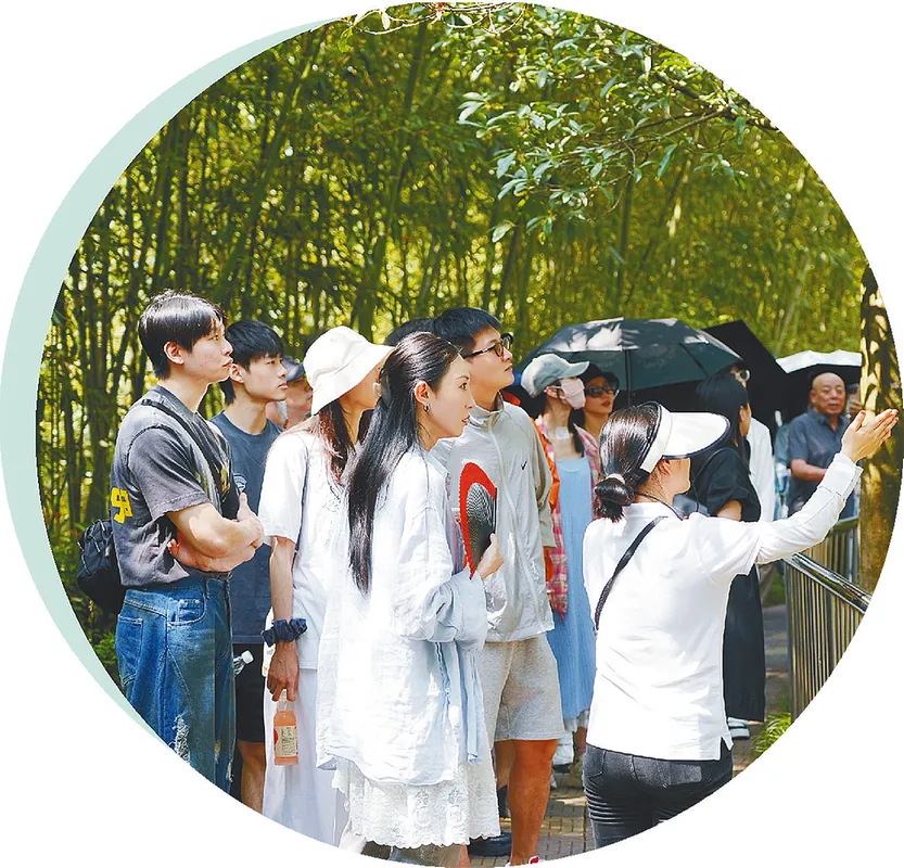 從秦嶺到世界！漢中創(chuàng)造生態(tài)奇跡！