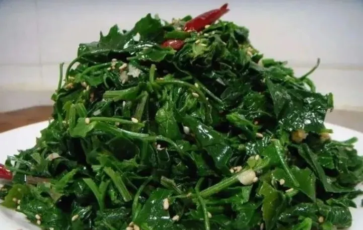賞春花，吃春菜，把春天“吃進(jìn)肚子”