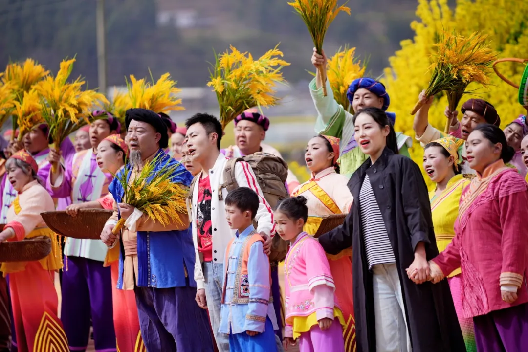清明打卡黎壩，看《風(fēng)起巴山》，賞限定花海