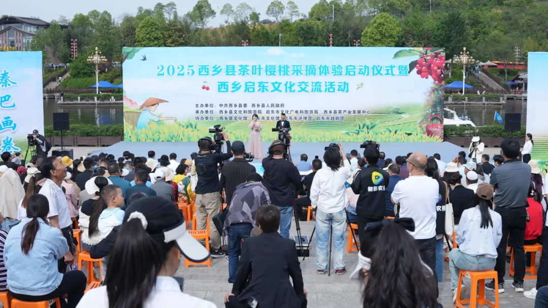 西鄉(xiāng)縣舉行2025茶葉櫻桃采摘體驗(yàn)活動(dòng)暨西鄉(xiāng)—啟東文化交流活動(dòng)