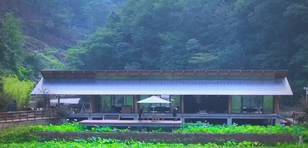 茶旅新地標！楮溪源景區(qū)帶你開啟茶旅融合新體驗！