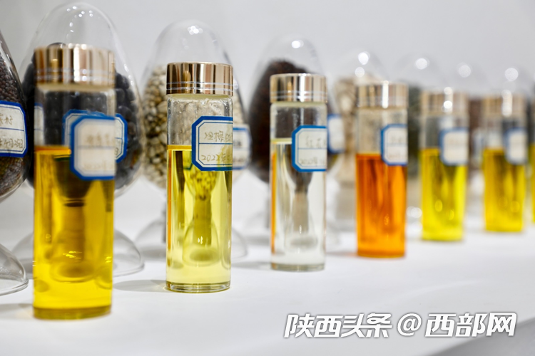 生態(tài)高顏值·發(fā)展高質(zhì)量｜油菜花、牡丹花、黑稻田 漢中洋縣有機(jī)產(chǎn)業(yè)有自己的“三原色”