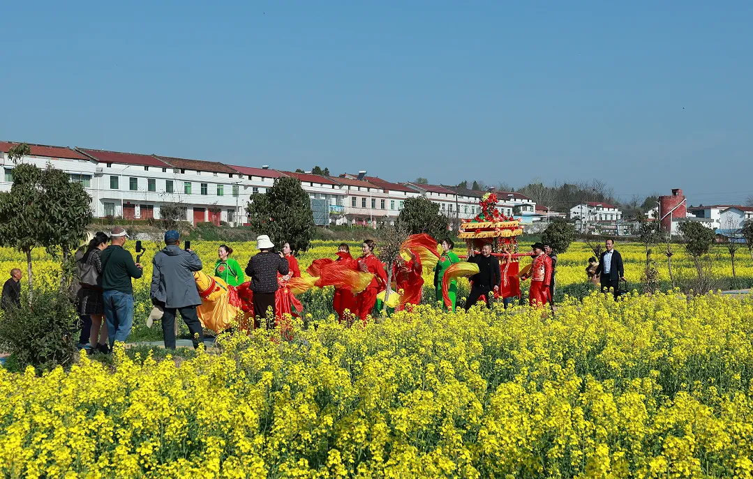 “鹮鄉(xiāng)花海 鏡遇春天” 市、縣新媒體聯(lián)動走進五彩洋州