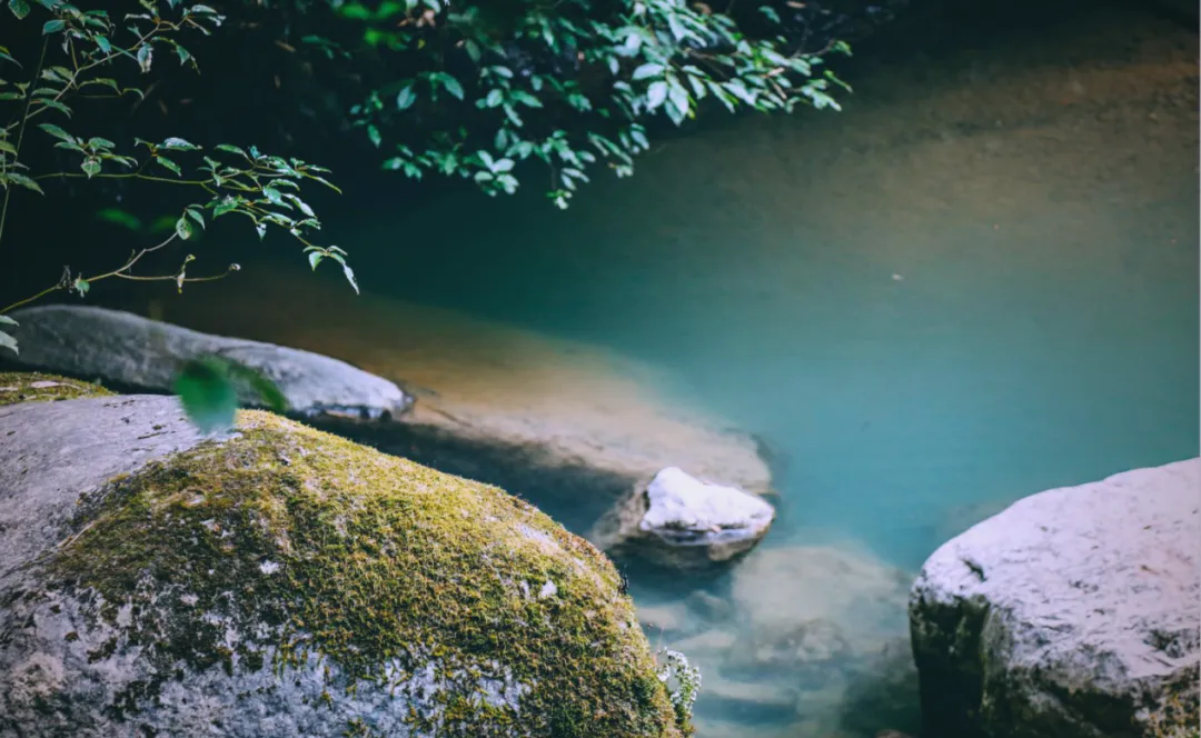 茶旅新地標！楮溪源景區(qū)帶你開啟茶旅融合新體驗！