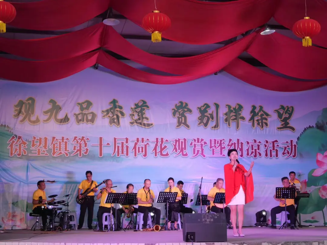 漢臺區(qū)徐家灣村：“荷經(jīng)濟(jì)”添彩鄉(xiāng)村振興