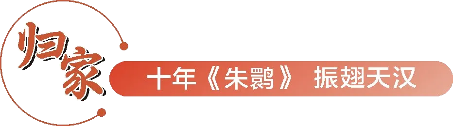從秦嶺到世界！漢中創(chuàng)造生態(tài)奇跡！