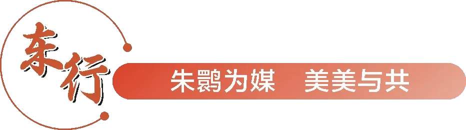 從秦嶺到世界！漢中創(chuàng)造生態(tài)奇跡！