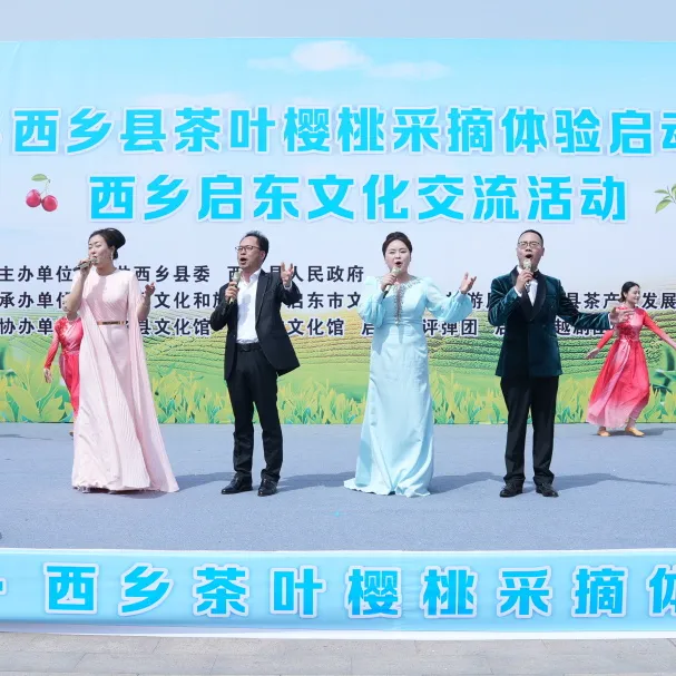 西鄉(xiāng)縣舉行2025茶葉櫻桃采摘體驗(yàn)活動(dòng)暨西鄉(xiāng)—啟東文化交流活動(dòng)