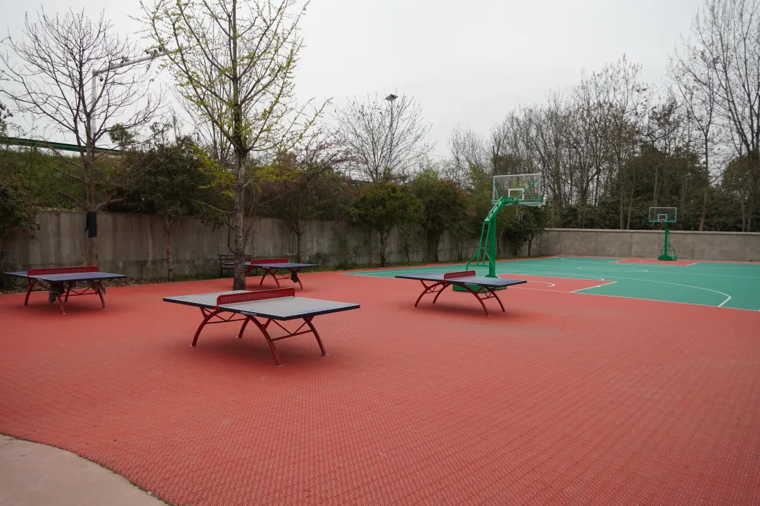 漢臺：口袋公園“繡”出城市品質(zhì)生活新畫卷