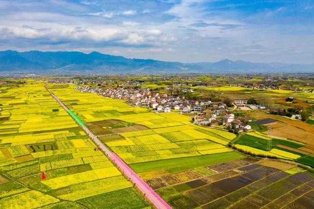 聚焦“旅居在漢中”！這場網(wǎng)上新聞發(fā)布會說了啥？