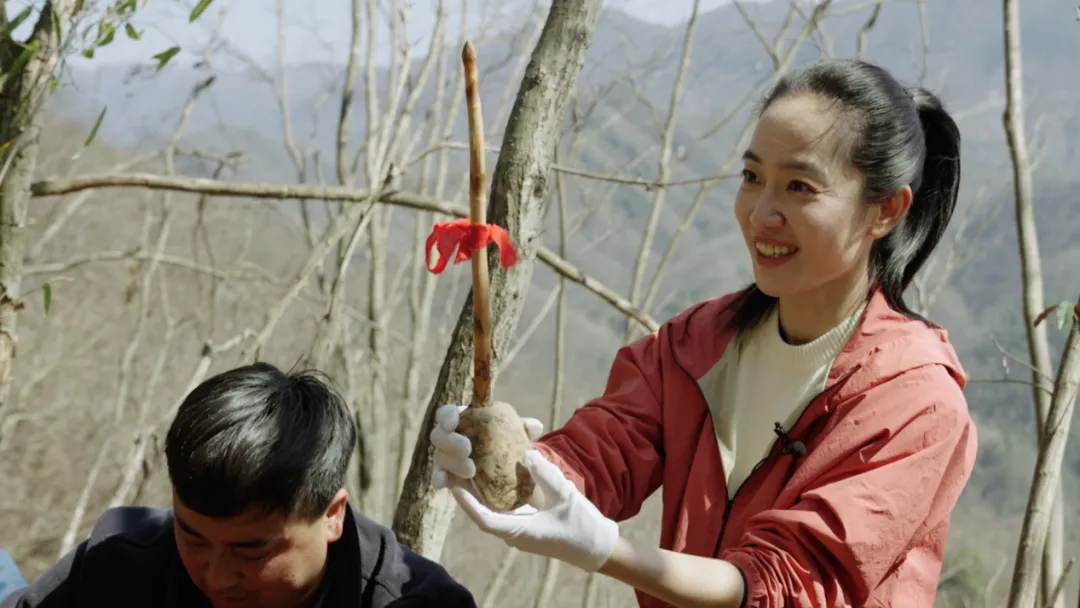 央視財(cái)經(jīng)關(guān)注！看漢中如何探索鄉(xiāng)村振興之路→